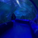 180 или 90 градусови акрилни панели за аквариум тунел