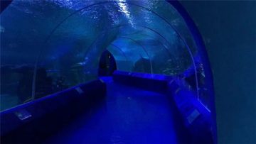 180 или 90 градусови акрилни панели за аквариум тунел