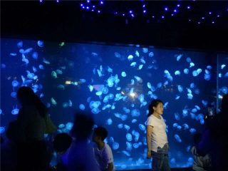 2018 акрилен аквариум резервоар стъкло