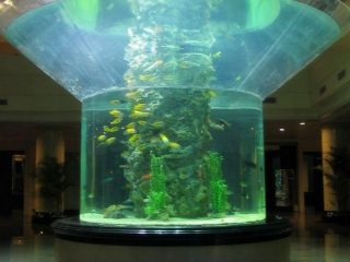 Стъклен аквариум от половин цилиндър, пермакс, чист рибен резервоар