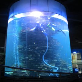 чист акрилен цилиндър голям рибен резервоар за аквариуми или океански парк