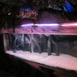 Акрилен басейн панел / прозорец за Подводен морски свят