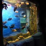 2018 Акрилен панел от най-високо качество за прозореца на аквариума