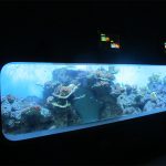 Изкуствен акрилен цилиндричен прозрачен рибен аквариум / прозорец за наблюдение