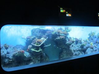 Изкуствен акрилен цилиндричен прозрачен рибен аквариум / прозорец за наблюдение