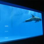висококачествено Голям акрилен аквариум / прозорец на басейна подово дебел прозорец