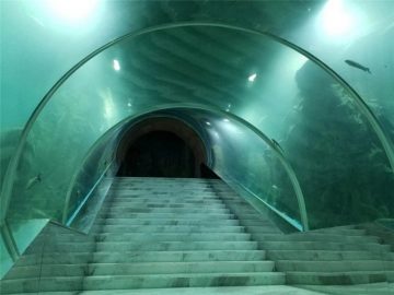 Цената на аквариума за акрилни тунели
