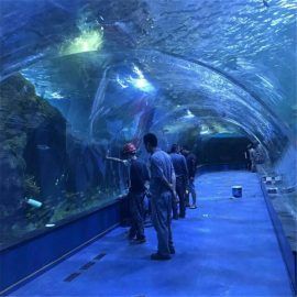 Проект за океанариум от акрилен тунел в публични аквариуми