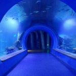 Висококачествен голям акрилен тунелен аквариум с различни форми