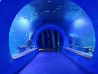 Висококачествен голям акрилен тунелен аквариум с различни форми
