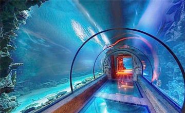 Модерен дизайн акрилен аквариум дълъг тунел