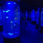 акрил медуза аквариум резервоар стъкло