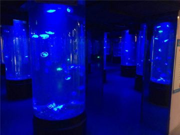 акрил медуза аквариум резервоар стъкло
