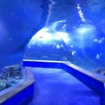 прозрачно акрилно стъкло Тунелен аквариум
