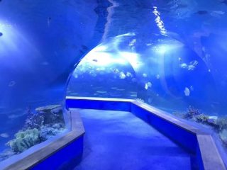 прозрачно акрилно стъкло Тунелен аквариум